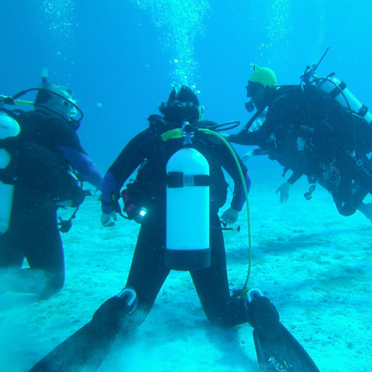 Certified Diver Refresher ($125)