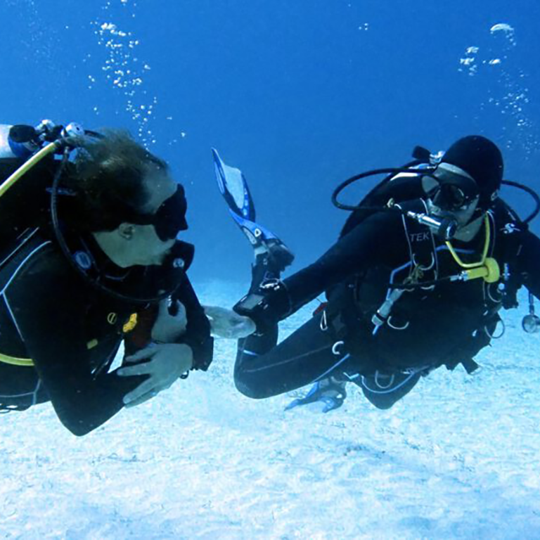 Open Water Diver (MX$9450)